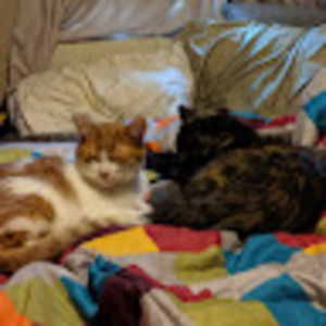 Meet your Posher, Ninja